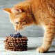 Ласощі для котів