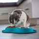 Сухий корм для котів