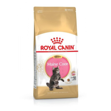 Royal Canin Maine Coon Kitten 400 г сухий корм для кошенят