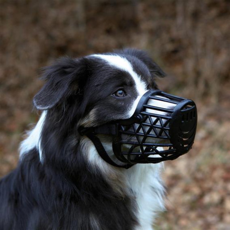 Намордник Trixie Muzzle для собак пластиковый XL, обхват морды 31 см (17606)
