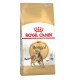 Royal Canin Bengal 4 кг сухий корм для котів