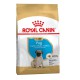 Royal Canin Pug Puppy 1.5 кг сухий корм для цуценят