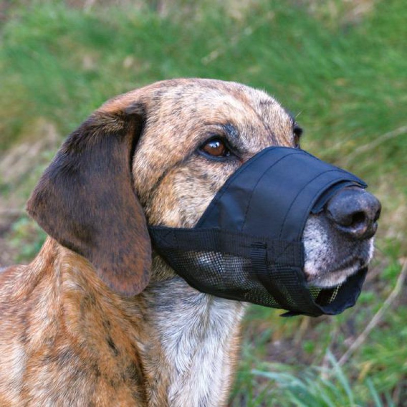 Намордник Trixie Muzzle для собак поліестер, S (19261)