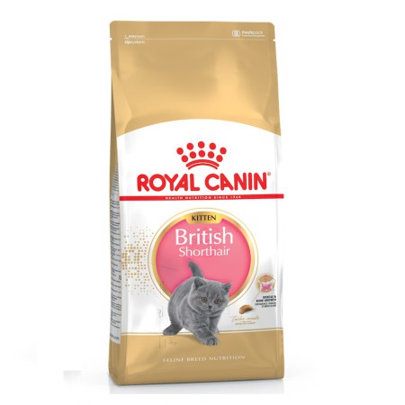 Royal Canin British Shorthair Kitten 2 кг сухий корм для кошенят
