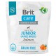 Brit Care GF Junior Large Breed Salmon та Potato 1 кг сухий корм для цуценят з лососем