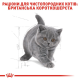 Royal Canin British Shorthair Kitten 4 кг сухий корм для кошенят