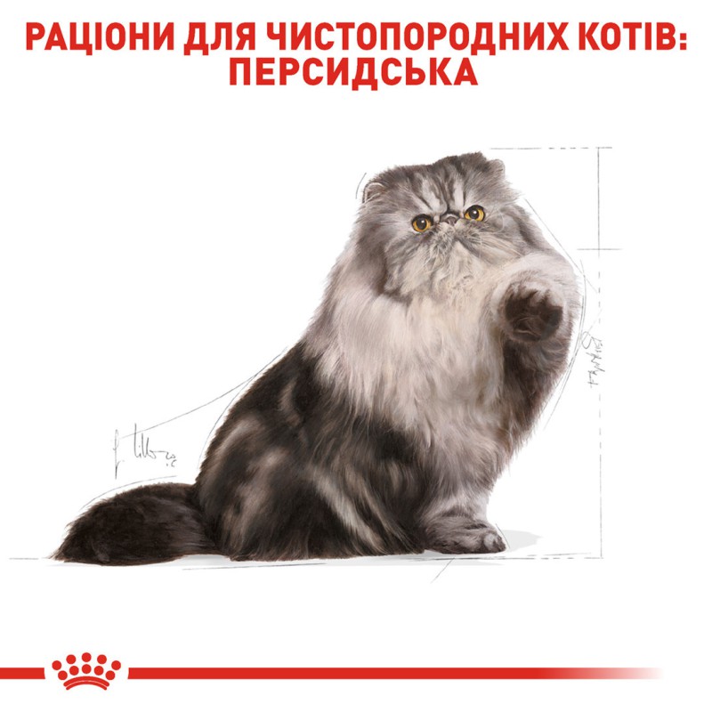 Royal Canin Persian Adult 4 кг сухий корм для котів