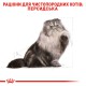 Royal Canin Persian Adult 4 кг сухий корм для котів