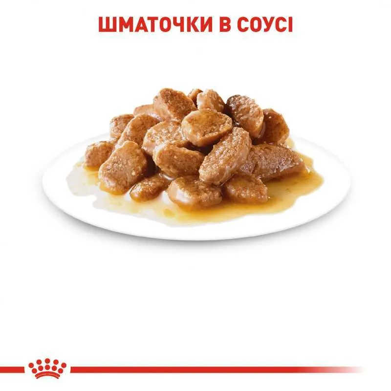 Royal Canin Xsmall Puppy 12х85 г для цуценят у соусі