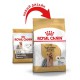 Royal Canin Yorkshire Terrier Adult 500 г сухий корм для собак