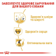 Royal Canin Golden Retriever Adult 12 кг сухий корм для собак породи золотистий ретрівер