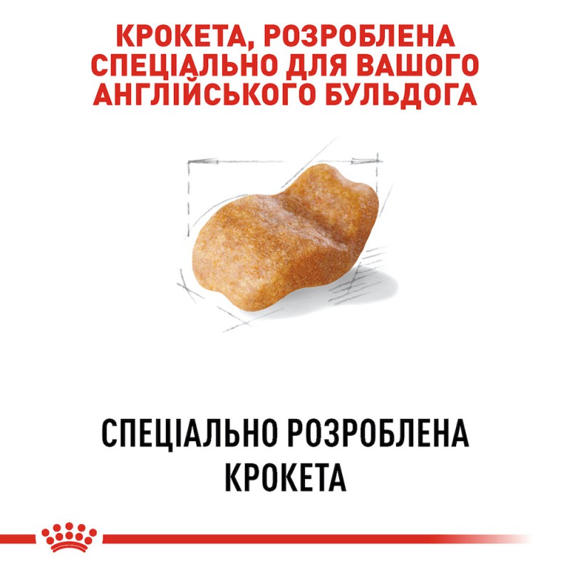 Royal Canin Bulldog Adult 12 кг сухий корм для собак породи Бульдог
