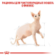 Royal Canin Sphynx 10 кг сухий корм для кішок породи сфінкс