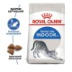 Royal Canin Indoor 27 10 кг сухий корм для кішок з низькою активністю