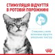 Royal Canin Sensory Feel in Jelly 12х85 г в желе для котів