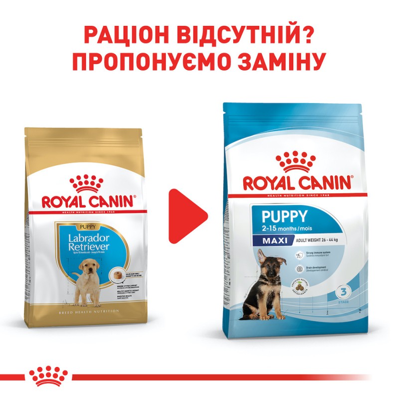 Royal Canin Labrador Retriever Puppy 12 кг сухий корм для цуценят породи Лабрадор ретрівер