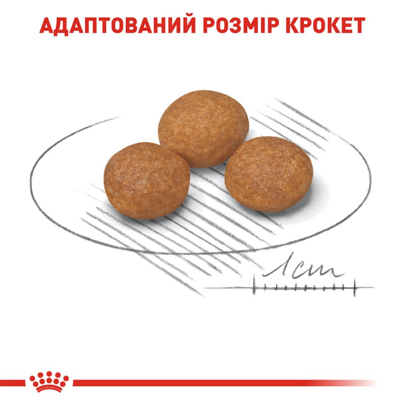 Royal Canin Xsmall Adult 8+ 3 кг сухий корм для собак