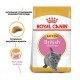 Royal Canin British Shorthair Kitten 400 г сухий корм для кошенят