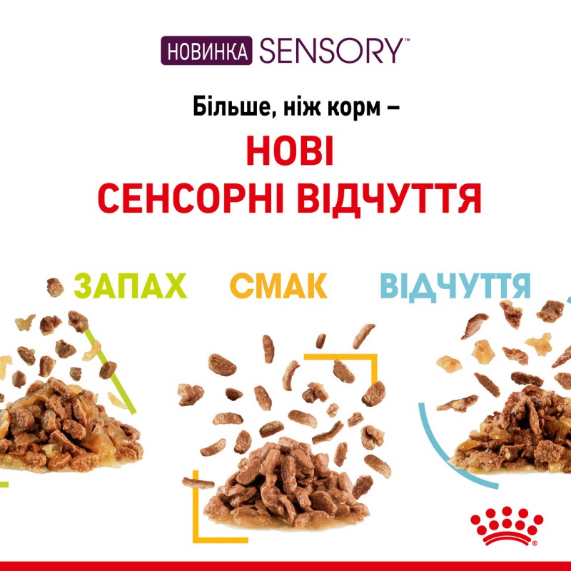 Royal Canin Sensory Smell in Gravy в соусі 12х85 г для котів
