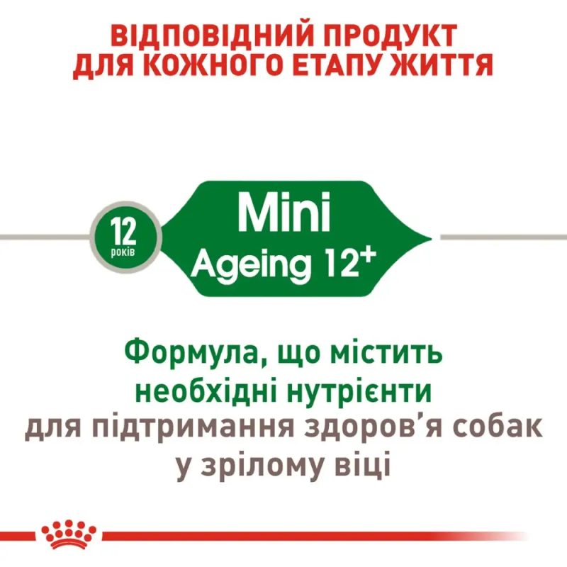 Royal Canin Mini Ageing 12+ 800 г сухий корм для собак віком від 12 років