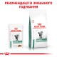 Royal Canin Diabetic Pouches 12х85 г для кішок при діабеті в соусі