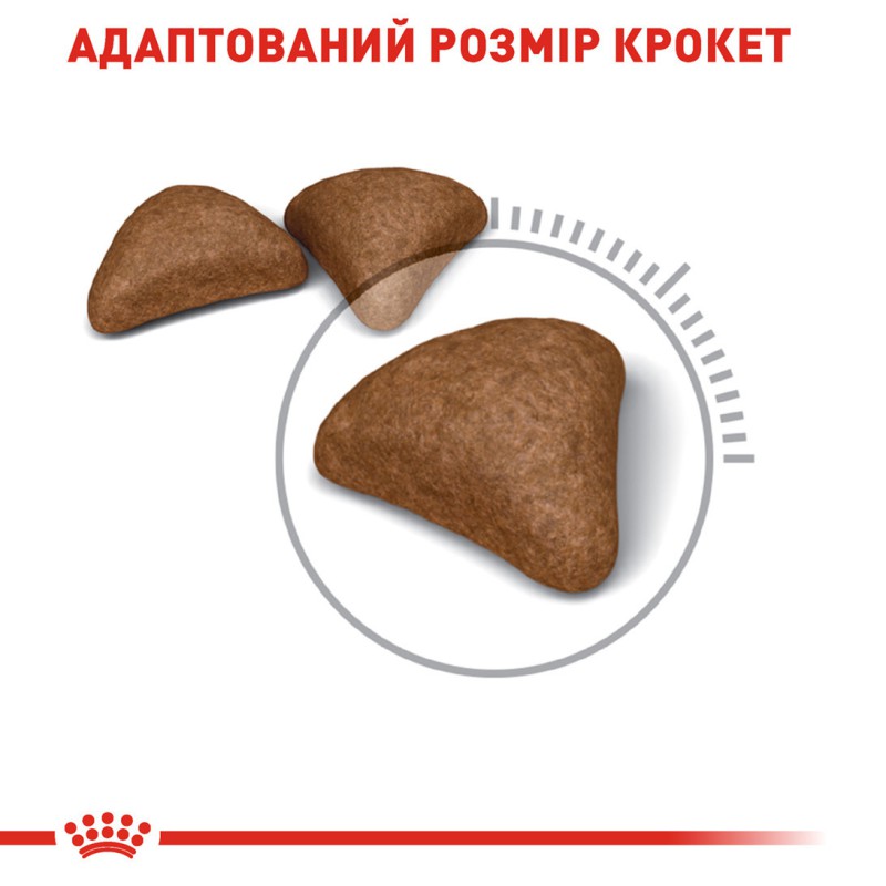 Royal Canin Hairball Care 4 кг сухий корм для котів
