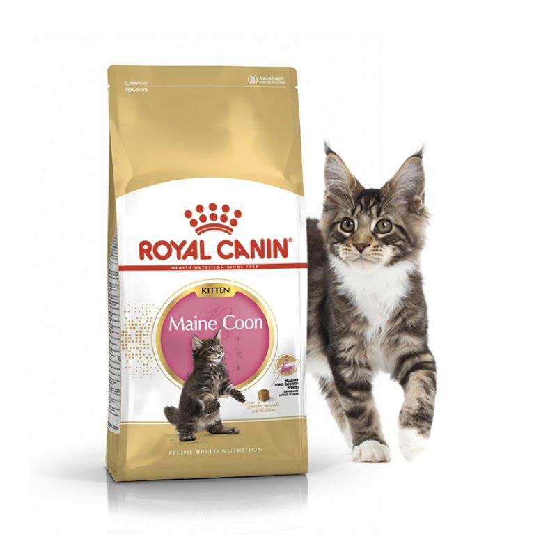 Royal Canin Maine Coon Kitten 400 г сухий корм для кошенят