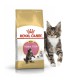 Royal Canin Maine Coon Kitten 400 г сухий корм для кошенят
