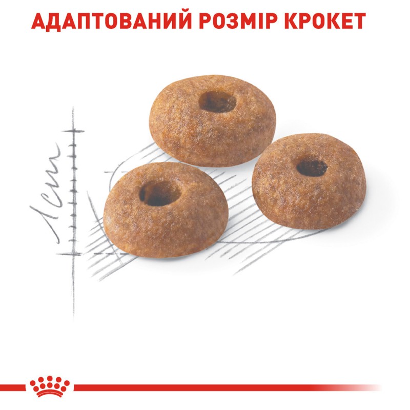 Royal Canin Fit 32 2 кг сухий корм для домашніх та вуличних котів