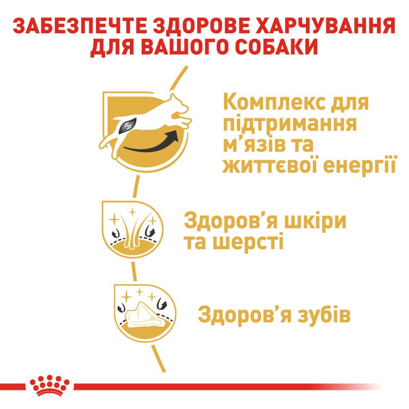 Royal Canin Jack Russell Adult 7.5 кг сухий корм для собак
