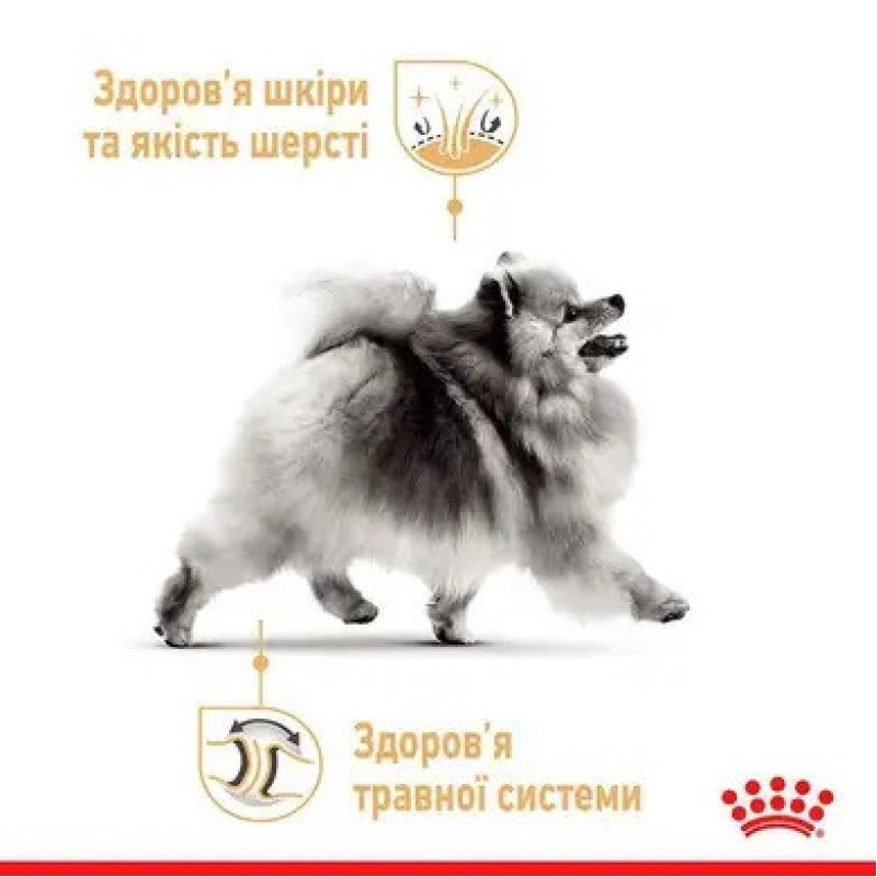 Royal Canin Pomeranian Loaf 12х85 г для собак