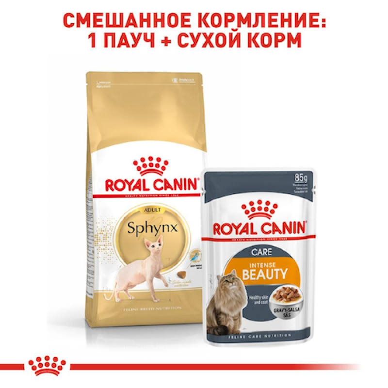 Royal Canin Sphynx 4 кг сухий корм для котів