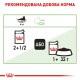 Royal Canin Digest Sensitive 12х85 г для кішок з чутливим травленням
