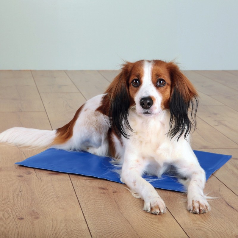Охлаждающий коврик для собак и кошек Trixie Cooling Mat голубой, 90х50 см