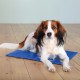 Охлаждающий коврик для собак и кошек Trixie Cooling Mat голубой, 90х50 см