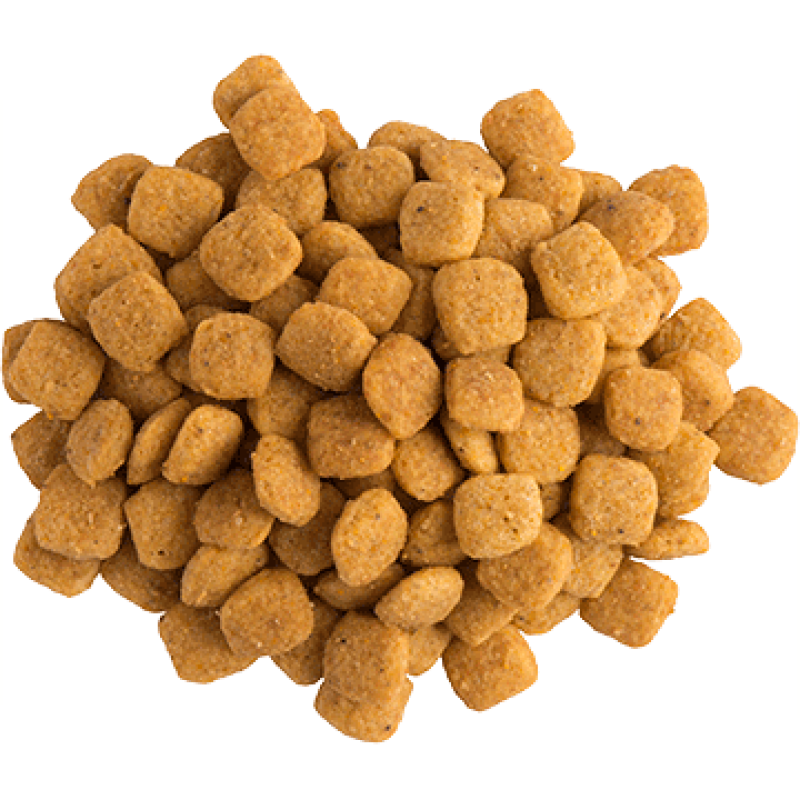 Purina Veterinary Diets NF Renal Function Feline для кішок при захворюваннях нирок 350 г