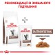 Royal Сanin Gastrointestinal 400 г сухий корм для котів