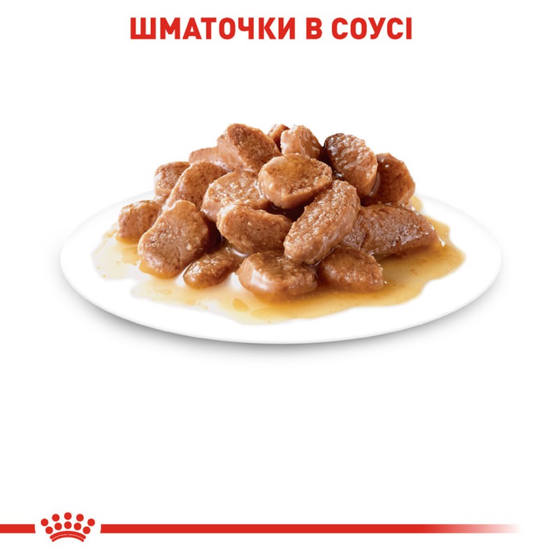 Royal Canin Digest Sensitive 12х85 г для кішок з чутливим травленням