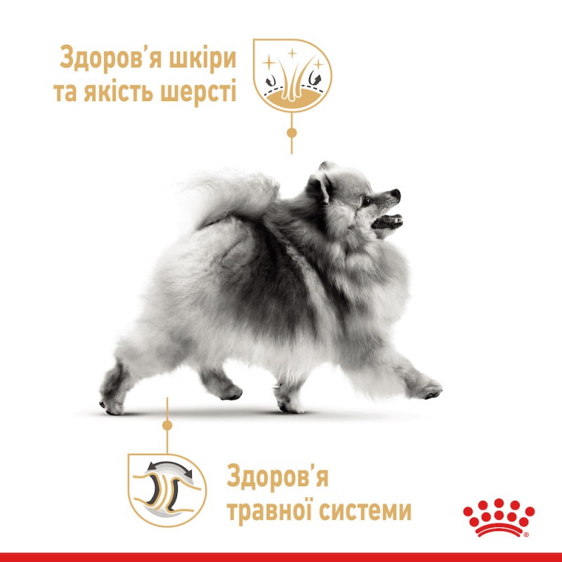 Royal Canin Pomeranian Adult 1.5 кг сухий корм для собак