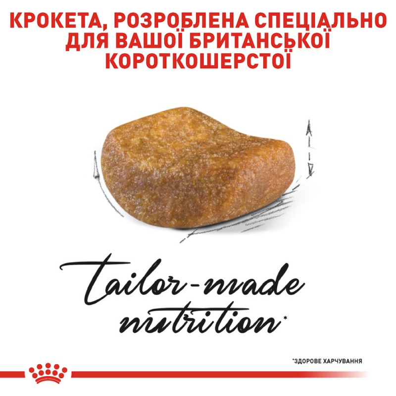 Royal Canin British Shorthair 4 кг сухий корм для котів