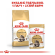 Royal Canin Maine Coon 12х85 г для котів