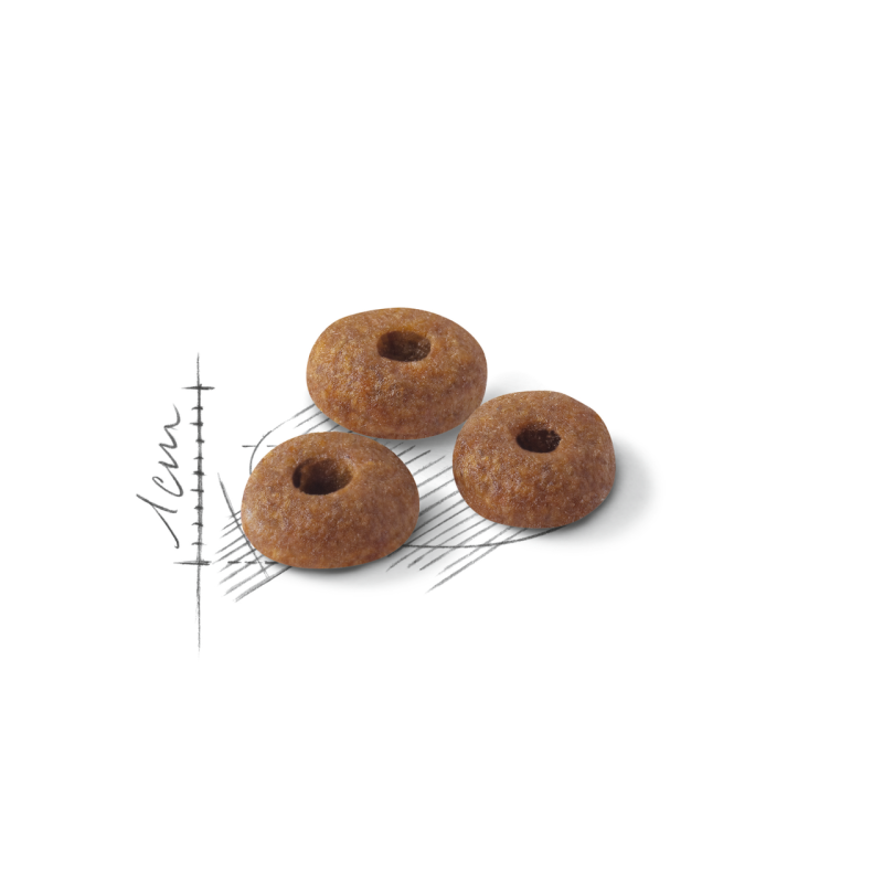 Royal Canin Fit 32 4 кг сухий корм для котів
