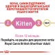 Royal Canin British Shorthair Kitten 400 г сухий корм для кошенят