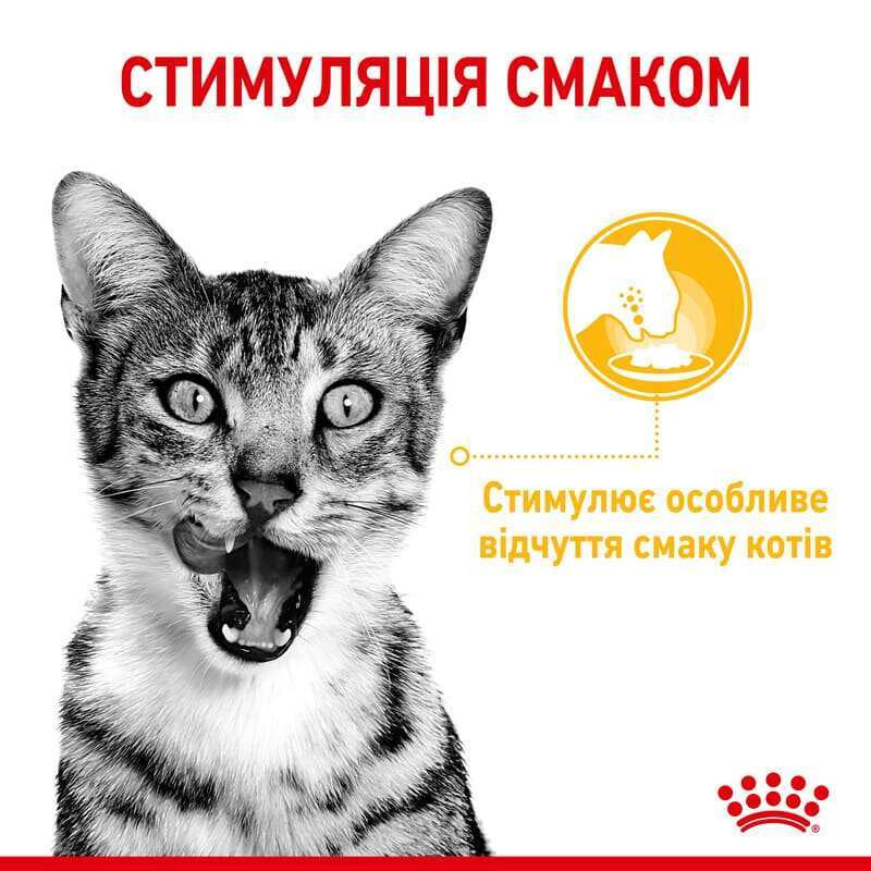 Royal Canin Sensory Taste in Jelly 12х85 г в желе для котів