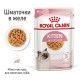 Royal Canin Kitten Instinctive Gravy 12х85 г для кошенят у соусі