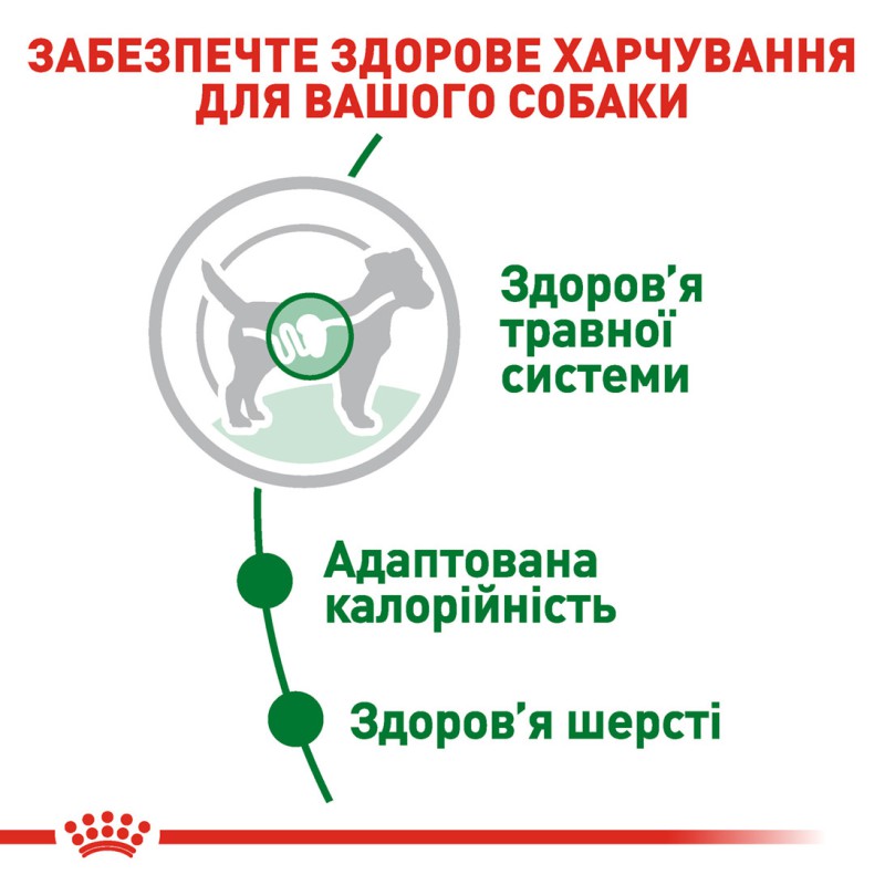 Royal Canin Mini Adult 12х85 г корм для собак