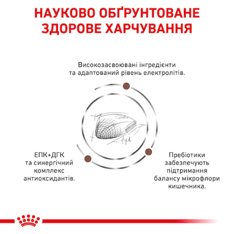 Royal Сanin Gastrointestinal 2 кг сухий корм для кішок при порушенні травлення