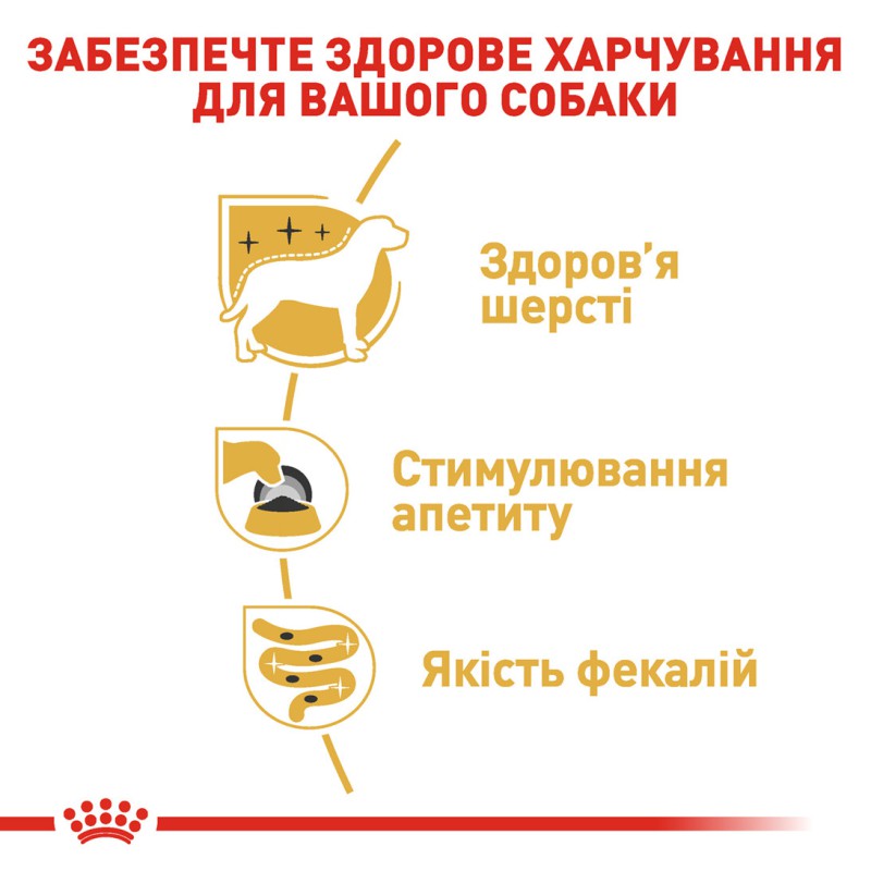 Royal Canin Yorkshire Terrier 12х85 г для собак