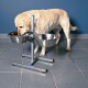 Підставка Trixie Dog Bar з 2 мисками для собак, 4.5 л