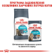 Royal Canin Urinary Care Gravy 12х85 г для котів шматочки в соусі
